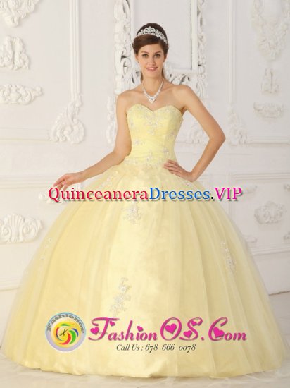 Fashionable Light Yellow Sweet 16 Quinceanera Dress With Sweetheart Ruched Bodice Organza Appliques Auburn NY - Click Image to Close