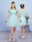 Aqua Blue Lace Up Off The Shoulder Lace Court Dresses for Sweet 16 Tulle Cap Sleeves