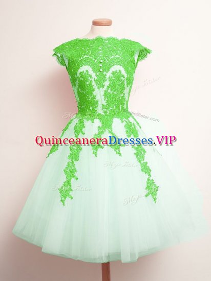 Amazing Sleeveless Mini Length Appliques Lace Up Quinceanera Court of Honor Dress with Multi-color - Click Image to Close