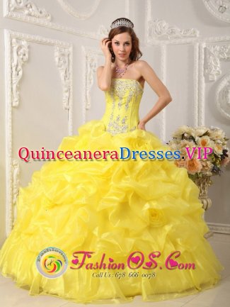 Yellow Beaded Appliques Decorate Bodice Hand Made Flower Pick-ups Ball Gown Quinceanera Dress For Sweet 16 In Augusta Kansas/KS