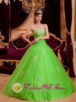 Spring Green Princess Appliques Decorate Organza Ruching Quinceanera Dress In Gold Coast QLD