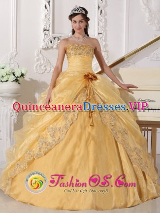 Greenwood South Carolina S/C Embroidery with Beading Decorate Organza Popular Gold Quinceanera Dress with hand made flower