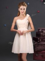 One Shoulder Sleeveless Zipper Quinceanera Court Dresses Champagne Chiffon
