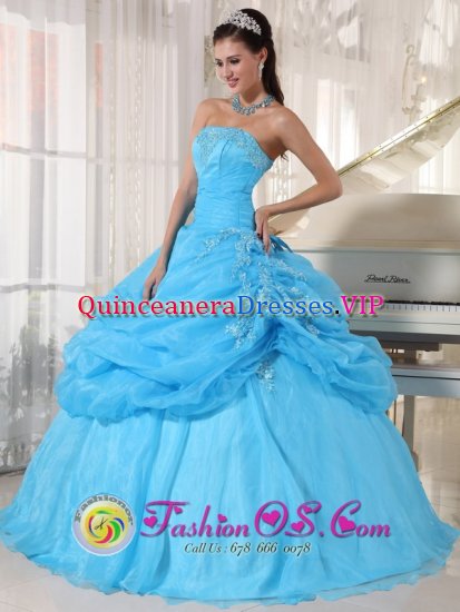 Albany NY Lovely Baby Blue Strapless Organza Floor-length Ball Gown Appliques Quinceanera Dress with Pick-ups - Click Image to Close