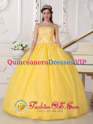 Cambridge East Anglia Remarkable Customize Light Yellow Lace and Ruch Quinceanera Gown With Strapless For Sweet 16
