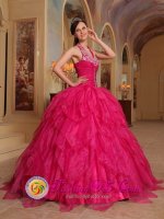 Romantic Embroidery Hot Pink Chugiak Alaska/AK Quinceanera Dress For Winter Halter Organza Ball Gown(SKU QDZY381-GBIZ)