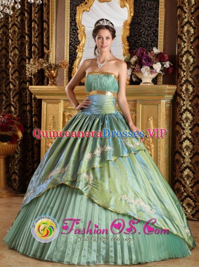 Canton Texas/TX Appliques Discount Olive Green Quinceanera Dress Strapless Ruched Bodice Taffeta and Organza Ball Gown - Click Image to Close