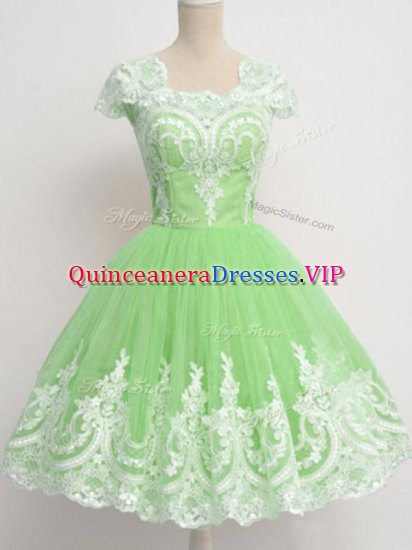 Square Zipper Lace Dama Dress for Quinceanera Cap Sleeves - Click Image to Close
