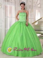 Belen New mexico /NM Spring Green Appliques Decorate Quinceanera Dress With Strapless Taffeta and Tulle Ball Gown
