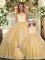 Comfortable Gold Sleeveless Floor Length Lace and Appliques Clasp Handle Quinceanera Gown