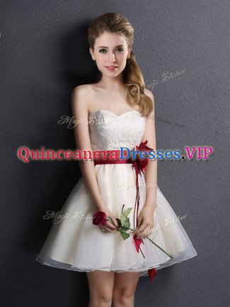 Sleeveless Mini Length Lace and Hand Made Flower Lace Up Quinceanera Court of Honor Dress with Champagne