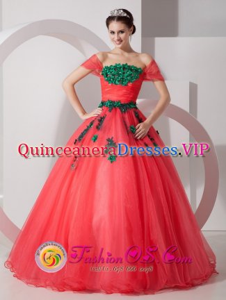 Helena Arkansas/AR Pretty One Shoulder Organza Quinceanera Dress With Hand Made Flowers Custom Made