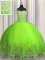 Pretty Floor Length Ball Gowns Sleeveless 15 Quinceanera Dress Lace Up