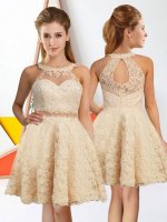 Knee Length A-line Sleeveless Champagne Quinceanera Court of Honor Dress Zipper