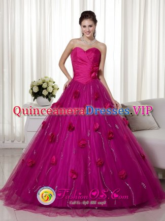 Pierre South Dakota/SD Remarkable Brush Train and Hand Made Flowers Quinceanera Dress With Fuchsia Sweetheart