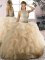 Champagne Tulle Lace Up Scoop Sleeveless Floor Length Quinceanera Dresses Ruffles