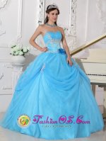 Azle TX Fashionable Aqua Blue Quinceanera Dress With Strapless Neckline Flowers Decorate On Organza