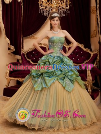 Tamarac Florida/FL Remarkable Olive Green Pick-ups Beading Strapless Quinceanera Dress With Taffeta and Tulle