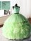 Pretty Scoop Organza and Tulle and Lace Sleeveless With Train Quinceanera Gown Brush Train and Beading and Lace and Ruffles