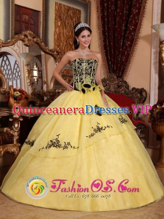 Tumaco Colombia Light Yellow For Beautiful Strapless Quinceanera Dress With Embroidery and Hand Made Flowers