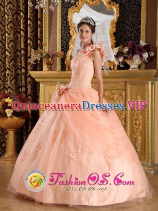 Lancashire Fabulous One Shoulder Hand Made Flowers Sweet 16 Dress With Appliques and Pick-ups In South Carolina
