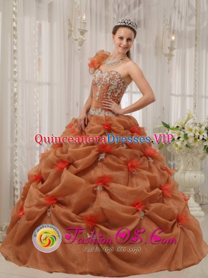 Loddon Norfolk Discount One Shoulder Organza Appliques Decorate Up Bodice Rust Red Quinceanera Dress For Hand Made Flower Decorate - Click Image to Close