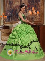 Popular Appliques Decorate BodiceSpring Green Quinceanera Dress For Sweet Style Straps Taffeta Ball Gown in Cleburne Texas/TX