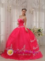 Stylish Wholesale Fushia Sweetheart Appliques Decorate Quinceanera Dresses Party Style in Conway South Carolina S/C