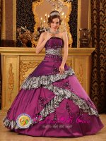 Whitstone Cornwall Stylish Embroidery Zebra Dark Purple Quinceanera Dress With Taffeta Ball Gown