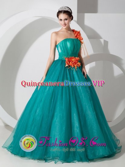 Kent Ohio/OH One Shoulder Organza Quinceanera Dress With Hand Made Flowers Custom Made - Click Image to Close