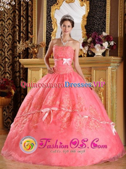 Cheshire Connecticut/CT Appliques and Bowknots For The Super Hot Watermelon Strapless Quinceanera Dress - Click Image to Close