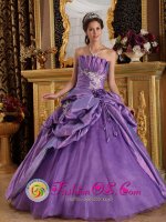 Austin TX Strapless Taffeta Customize Lavender Appliques Quinceanera Dress With Hand flower and Pick-ups Decorate(SKU QDML077y-6BIZ)