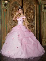 Post Falls Idaho/ID Romantic Pink Off The Shoulder Organza Quinceanera Dress With Colorful Flowers