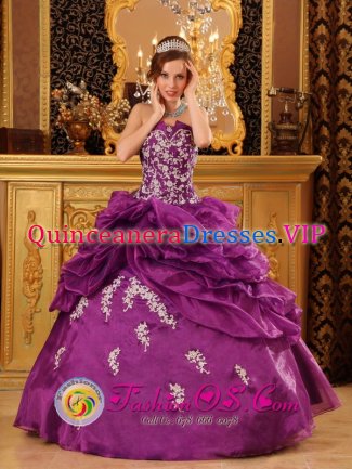 Cordoba colombia Formal Fuchsia Quinceanera Dress For Strapless Organza With Beaded Lace Appliques Ball Gown