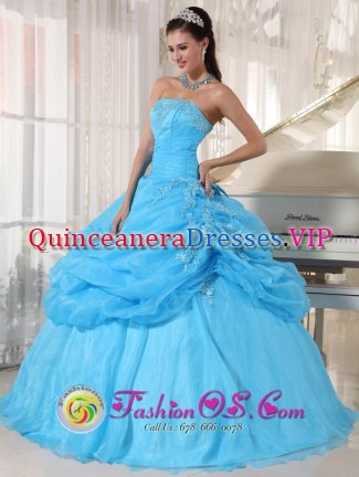 Heathfield East Sussex Lovely Baby Blue Strapless Organza Floor-length Ball Gown Appliques Quinceanera Dress with Pick-ups