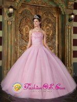 Eureka Montana/MT Custom Made Strapless Pink Quinceanera Dress With Appliques(SKU QDZY096-FBIZ)