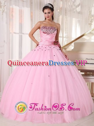 Bear Delaware/ DE Lovely Pink Beaded Decorate Bust and Ruched Bodice Sweet 16 Taffeta and Tulle Dress With Hand Made Flowers