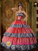 Canandaigua NY Colorful Sweetheart Strapless With Zebra and Taffeta Ruffles Ball Gown For Quinceanera Dress