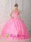 Santa Cruz de Barahona Dominican Republic Floor-length and Strapless Appliques Decorate Bodice Rose Pink Quinceanera Dress