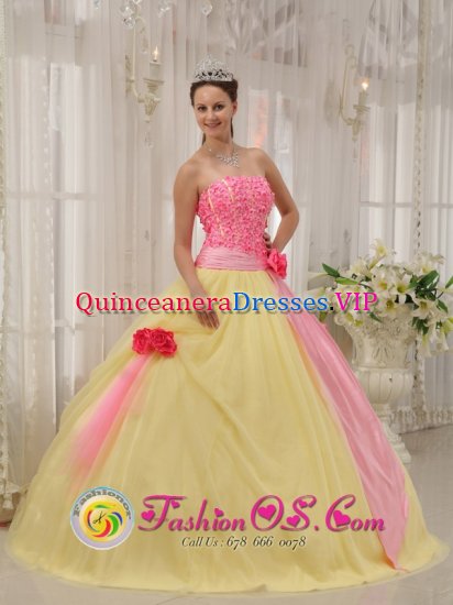Avon Connecticut/CT Light Yellow and Baby Pink Hand Made Flowers Sweet Quinceanera Dress For Graduation - Click Image to Close