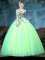 Ball Gowns Quinceanera Gown Multi-color V-neck Tulle Sleeveless Floor Length Lace Up
