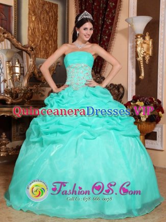 Stylish Turquoise Organza Quinceanera Dress With Strapless Appliques And Ruffles Decorate In Rockford Michigan/MI