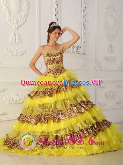 Kingsport Tennessee/TN The Most Fabulous Leopard and Organza Ruffles Yellow Quinceanera Dress With Sweetheart Neckline - Click Image to Close