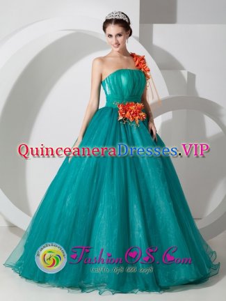 Butzbach Germany One Shoulder Organza Quinceanera Dress With Hand Made Flowers Custom Made