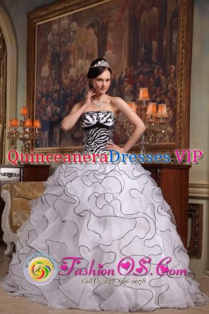 Cleveland HeightsOhio/OH Cute White Rufflesd Layers Quinceanera Dress With Zebra Strapless Organza ball gown