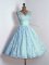 Glorious Baby Blue V-neck Lace Up Lace Quinceanera Court of Honor Dress Sleeveless