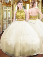 Halter Top Sleeveless Zipper Sweet 16 Dress Champagne Tulle