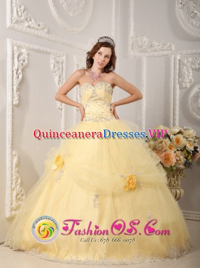 Bad Kreuznach Beautiful Organza Light Yellow Sweetheart Quinceanera Dress With Appliques and Hand Made Flowers - Click Image to Close