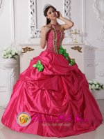 Fort Walton Beach Florida/FL Hot Pink Hand Made Flowers Modest Quinceanera Dresses With Beading