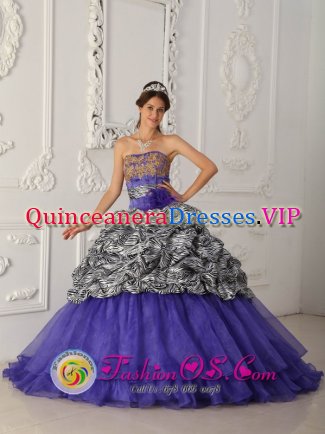 Brand New Custom Made Zebra and Organza Purple Quinceanera Dress For Strapless Chapel Train Ball Gown In Gardnerville Nevada/NV